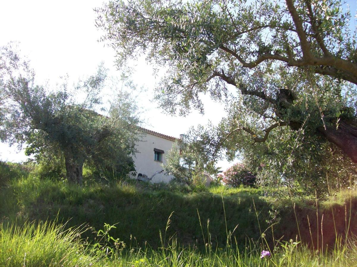 Ferienwohnung Casa Trotamundos Moratalla  Exterior foto